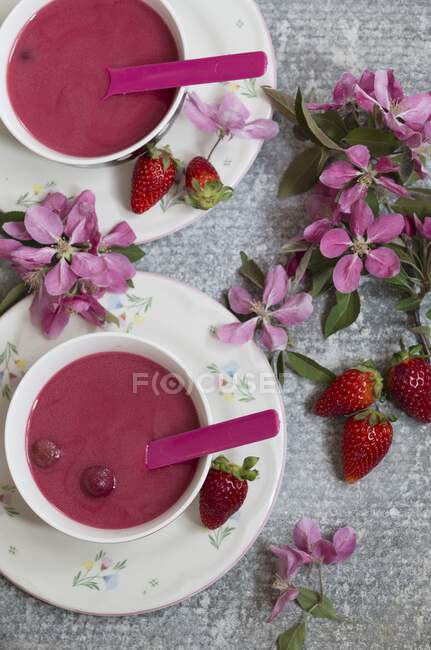 Холодный вишневый и клубничный десерт — стоковое фото