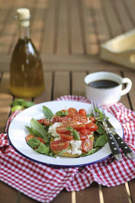 Bruschettas with ricotta cheese, cherry tomatoes and basil served in garden — Stock Photo