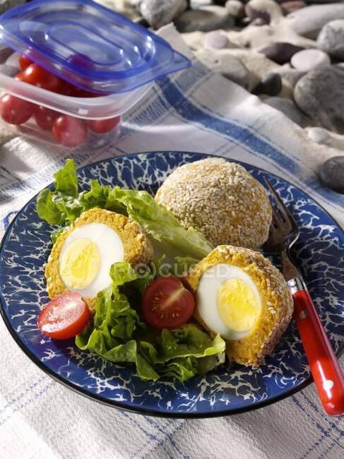 Huevos de falafel en un picnic en la playa - foto de stock