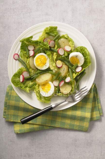 Alface com ovo, batatas, feijão verde e rabanetes — Fotografia de Stock