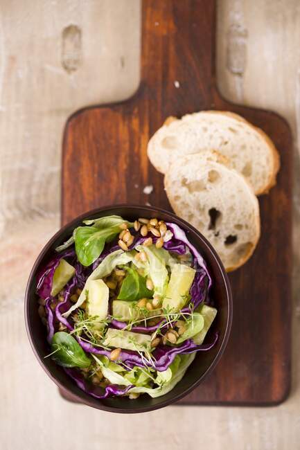 Vegan salad (einkorn, red cabbage, iceberg lettuce, lamb's lettuce, cucumber sticks) — Stock Photo