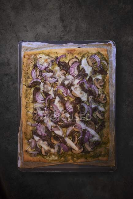 Une pizza de canard et d'oignon — Photo de stock