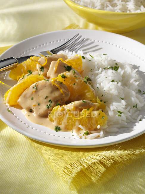 Chicken Fricassee and rice close-up view — Stock Photo