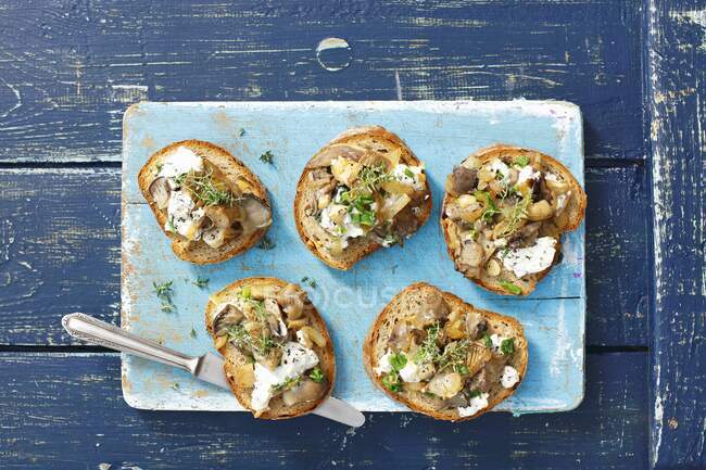 Crostini with oyster mushrooms and goat s cheese — Stock Photo