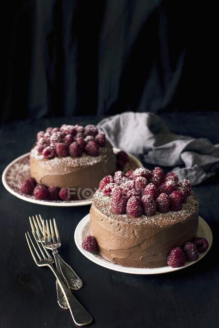 Nahaufnahme von köstlichem Schokoladenkuchen und Himbeeren — Stockfoto