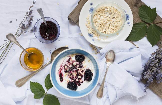 Joghurt-Müsli mit Brombeeren und Haferbrei — Stockfoto