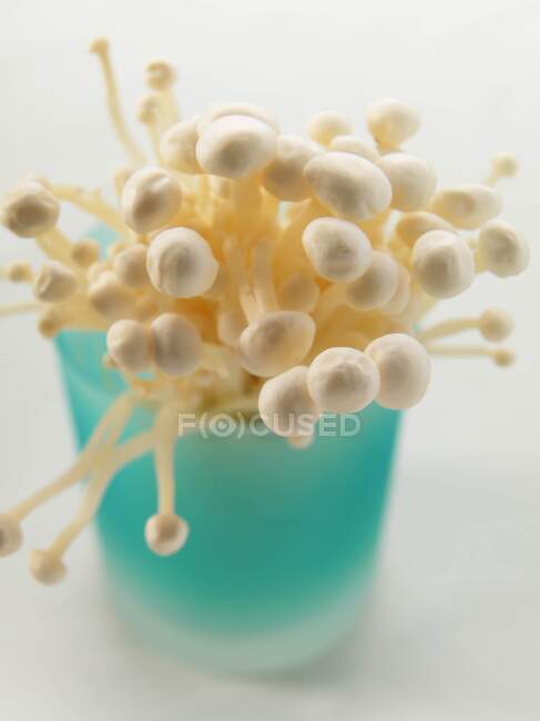 Un verre de champignons enoki — Photo de stock
