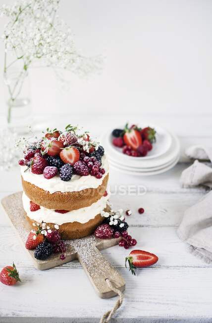 Gâteau de couche du milieu de l'été avec crème fouettée et baies — Photo de stock