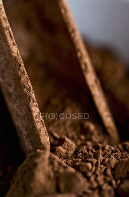 Порошок какао (закрити ) — стокове фото
