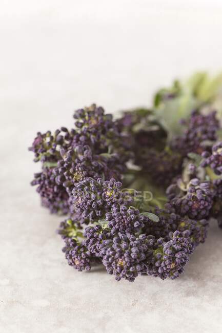 Detailaufnahme eines Blütenrankes aus lila Brokkoli — Stockfoto