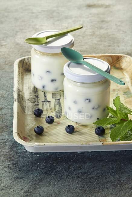 Iogurte de mirtilo em um jarro — Fotografia de Stock