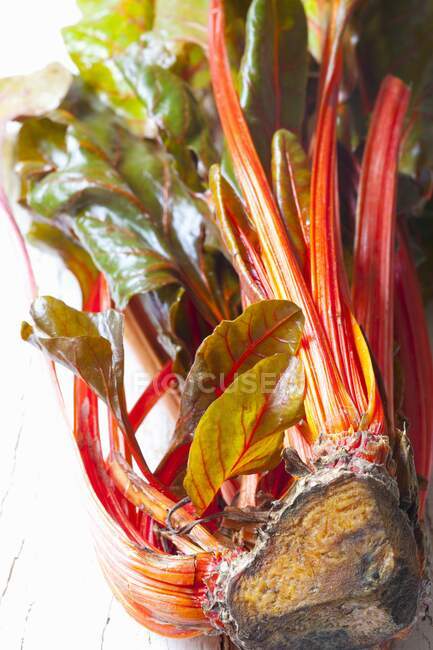 Bardo de talo vermelho orgânico — Fotografia de Stock
