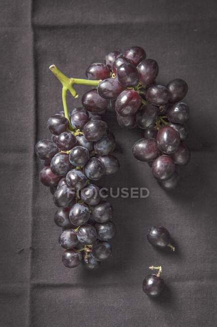 Bunch on black grapes on black cloth — Stock Photo