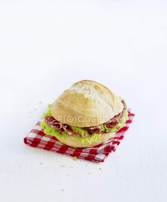 A salami roll with pickled gherkins — Stock Photo