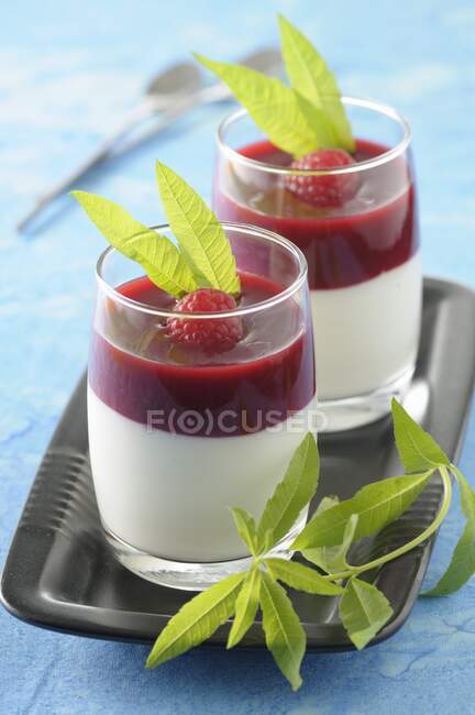 Coconut milk panna cotta with raspberry coulis and lemon verbena — Stock Photo