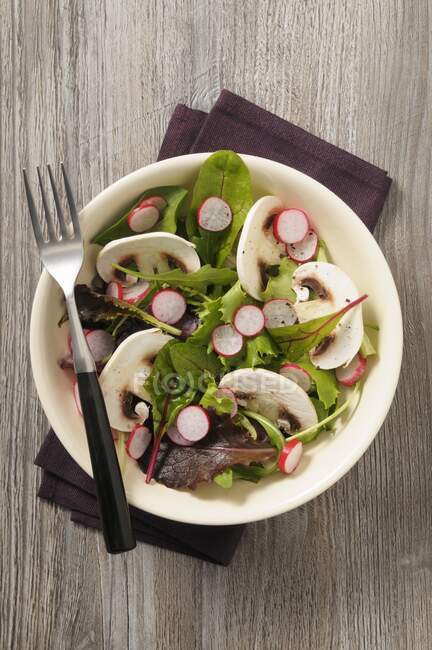 Lettuce with mushrooms and radishes — Stock Photo