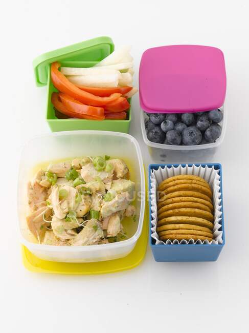 Um almoço embalado com frango, legumes, mirtilos e biscoitos — Fotografia de Stock
