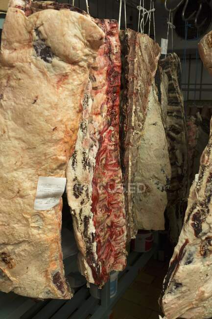 Mitades de vaca en un almacén refrigerado - foto de stock
