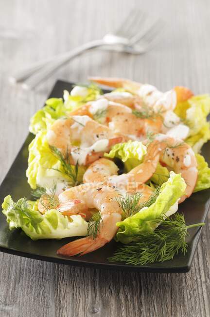 Salada de camarão com endro — Fotografia de Stock