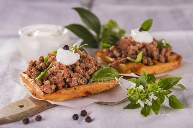 Waffles with game meat and sour cream — Stock Photo