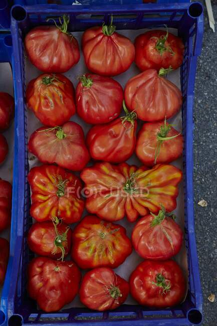 Beefsteak tomatoes in a tray — Stock Photo