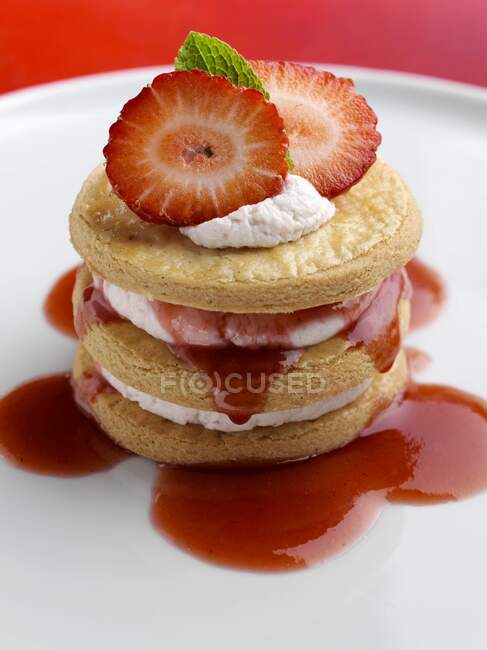 A strawberry sable close up — Stock Photo