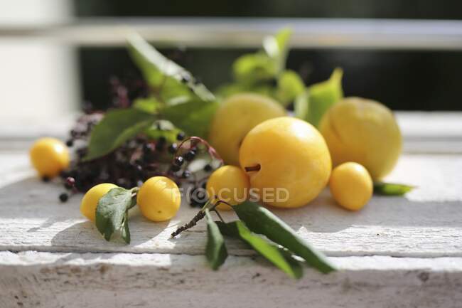Ameixas amarelas com lilás preto nas placas brancas ao sol — Fotografia de Stock