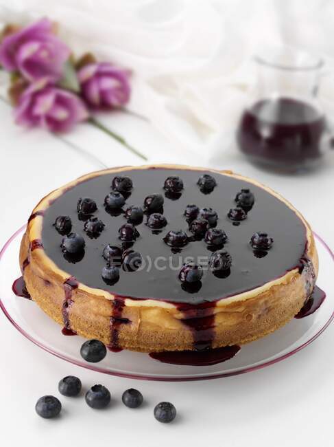 Blueberry cheesecake close-up view — Stock Photo