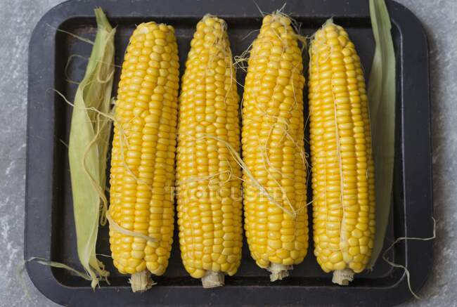 Four raw corn cobs on the stove (top view) — Stock Photo