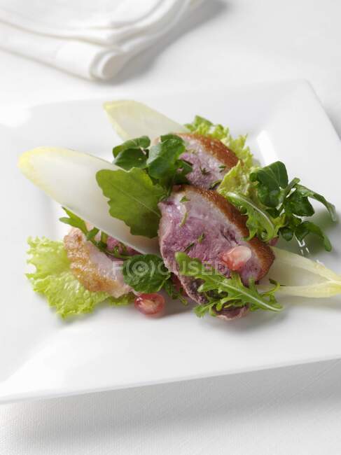 Un piatto di insalata di anatra su bianco — Foto stock