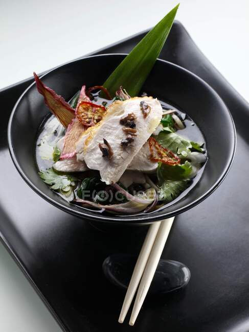 Seared chicken with soba and mushroom noodles in green tea broth — Stock Photo