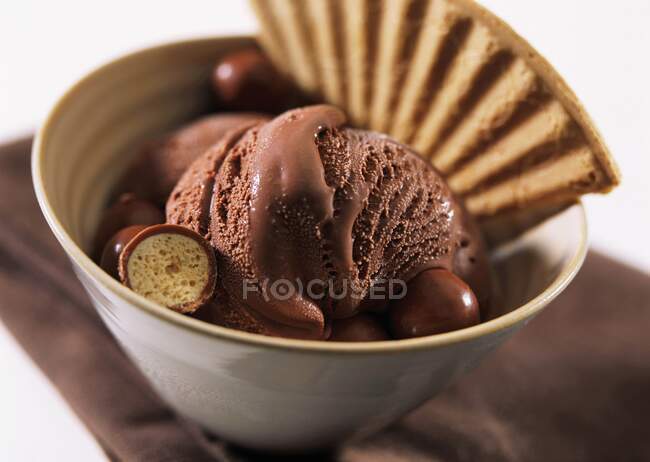 Un tazón de helado de chocolate doble con oblea - foto de stock