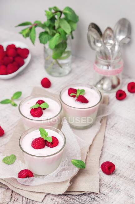 Iogurte de baunilha e iogurte de framboesa com framboesas frescas e hortelã — Fotografia de Stock