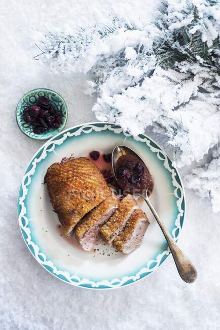 Pechuga de pato con salsa de arándanos en un plato en la nieve en Navidad - foto de stock
