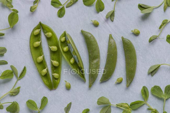 Pea pods and pea shoots, view from above — Stock Photo