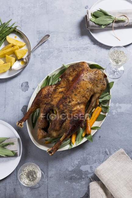 Roast goose with carrots and potatoes — Stock Photo