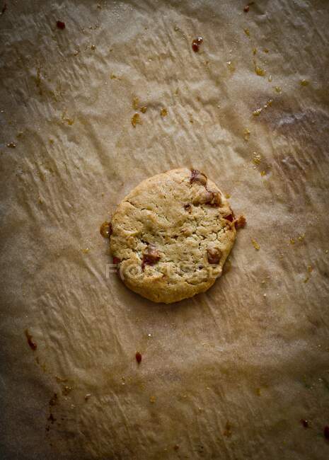 A caramel cookie on baking paper — Fotografia de Stock
