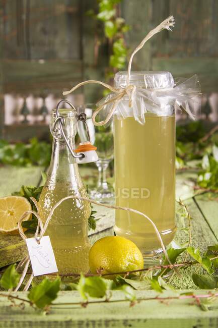 Sciroppo di menta fatto in casa per il dono — Foto stock