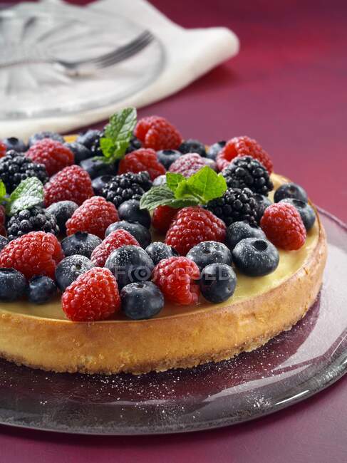 Cheesecake with summer fruit — Stock Photo