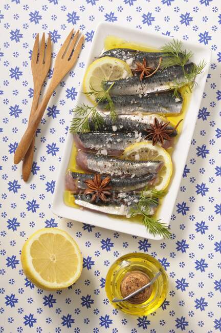 Sardine fillets in a lemon marinade with star anise and dill — Stock Photo