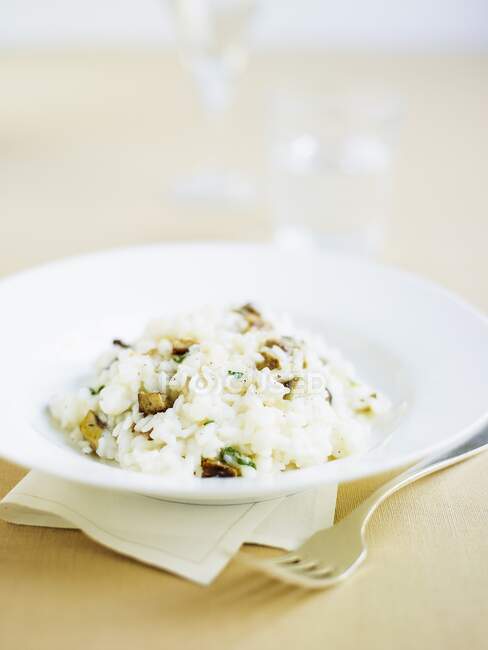 Cep risotto close-up view — Stock Photo