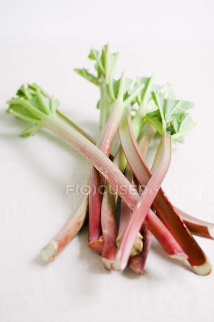 Several sticks of rhubarb close-up view — Stock Photo