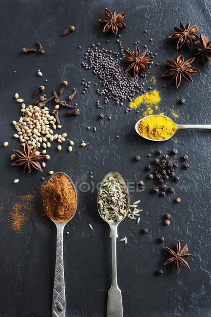 Various spices on a slate plate: peppers, cumin, star anise, coriander seed, turmeric, pepper, cloves and mustard seeds — Stock Photo