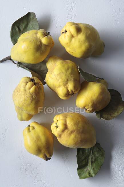 Quinces with leaves close-up view — Stock Photo
