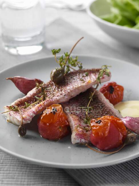 Um prato de pargo vermelho em uma mesa que define alimentos editoriais — Fotografia de Stock