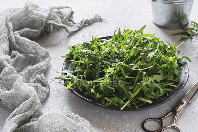 Rocket on a plate — Stock Photo