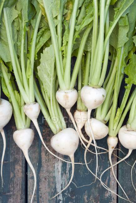 Fresh white turnips at a farmers market — Stock Photo