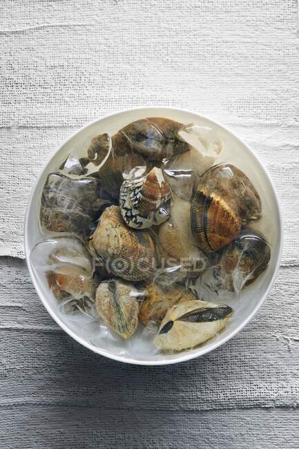 Fresh mussels with ice cubes in a bowl (top view) — Stock Photo