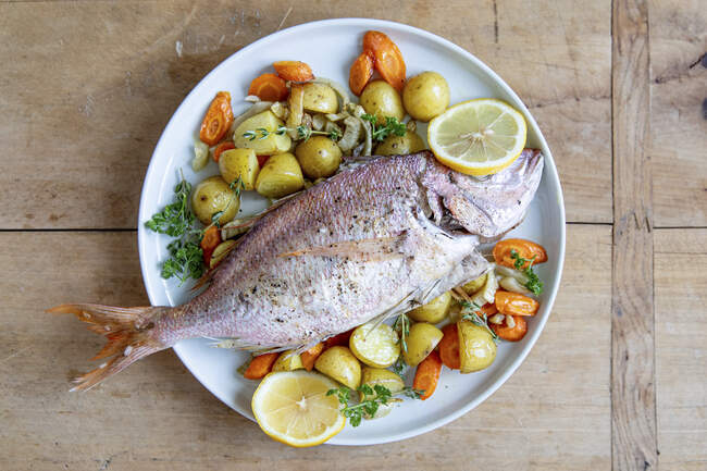 Bream with a fennel medley — Stock Photo