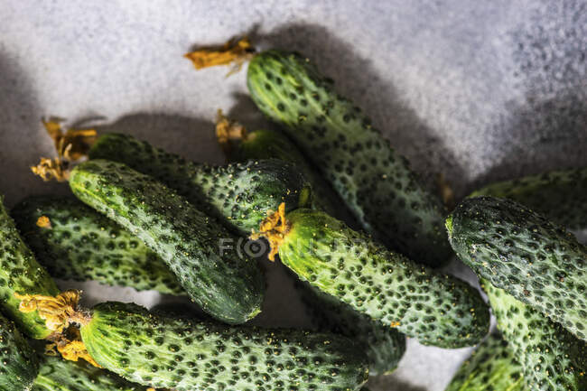 Vista ravvicinata di cetrioli crudi freschi — Foto stock